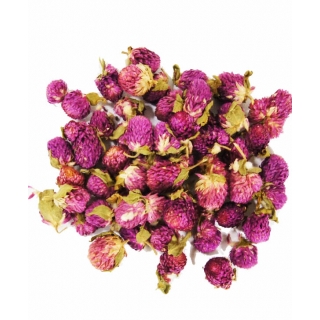 WIECZNIK KULISTY KWIAT - GLOBE AMARANTH FLOWER 1 KG